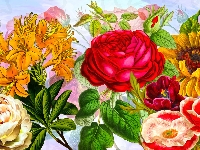 Kwiaty, Kolorowe, Różne, Grafika