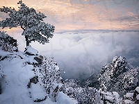 Góry, Korea Południowa, Park prowincjonalny Daedunsan, Mgła, Drzewo, Zima, Chmury, Jeolla Północna