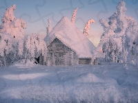 Dom, Śnieg, Zima, Ośnieżony, Drzewa