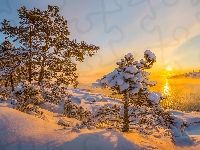 Jezioro Ładoga, Rosja, Wschód słońca, Ośnieżone, Mgła, Zima, Drzewa, Republika Karelii
