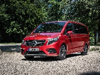 Mercedes-Benz V AMG Line, Czerwony, 2019