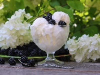 Jeżyny, Lody, Pucharek, Kwiaty