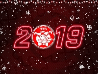 Rok, Nowy Rok, 2019, Świni