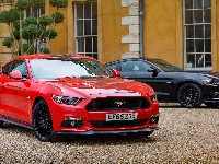 Czarny, Czerwony, Ford Mustang