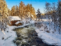 Rzeka, Drzewa, Park Narodowy Oulanka, Gmina Kuusamo, Finlandia, Zima, Las, Młyn Myllykoski, Laponia