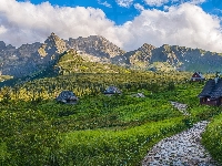 Królowe Rówienki, Polska, Domki, Droga, Drewniane, Hala Gąsienicowa, Góry Tatry, Zakopane