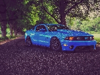 Niebieski, Ford Mustang Shelby GT700