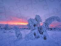 Zima, Finlandia, Wzgórze, Drzewa, Wschód słońca,  Rezerwat Valtavaara, Mgła, Laponia