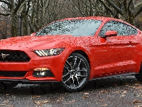 Ford Mustang, Czerwony, Coupe