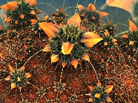 Kaktus, Kwiat, 3D