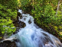 Skały, Miejscowość Skykomish, Stany Zjednoczone, Drzewa, Wodospad Deception Falls, Las, Stan Waszyngton