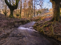 Drzewa, Strumyk, Hiszpania, Rzeczka, Park Narodowy Gorbea, Las, Kraj Basków