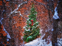 Ozdobiona, Drzewa, Boże Narodzenie, Las, Świąteczna, Choinka, Zima