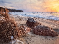 Trawa, Wschód słońca, Morze, Plaża, Kamienie