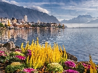Rośliny, Krajobraz, Szwajcaria, Góry, Jezioro Genewskie, Klomb, Montreux