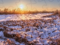 Wschód słońca, Trawa, Drzewa, Rzeka, Zima, Zaśnieżona, Krzewy