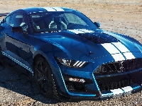 Ford Mustang Shelby GT500, 2019
