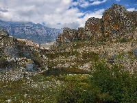 Kamienie, Kałuża, Góry, Skały, Rośliny