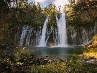 Drzewa, Stany Zjednoczone, Hrabstwo Shasta, Rzeka, Park McArthur-Burney Falls, Wodospad Burney Falls, Skała, Stan Kalifornia