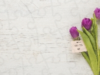 Napis, Tulipany, Karteczka, Dzień Matki