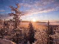 Las, Rosja, Park Narodowy Taganaj, Mgła, Chmury, Zima, Wschód słońca, Obwód czelabiński