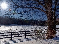 Ogrodzenie, Słońce, Zima, Drzewa, Śnieg