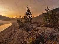 Brzeg, Góry Kołymskie, Kamienie, Kołyma, Rosja, Drzewa, Jesień, Jezioro Jack London, Obwód magadański