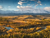 Las, Rosja, Chmury, Jesień, Rzeka, Góry Północnoczujskie, Rezerwat Kurayskaya Step, Ałtaj
