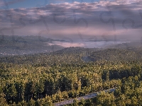 Droga, Lasy, Mgła, Drzewa, Wzgórza, Chmury