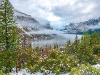 Śnieg, Stany Zjednoczone, Park Narodowy Yosemite, Drzewa, Chmury, Góry Sierra Nevada, Mgła, Kalifornia