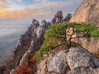 Skały, Park Narodowy Bukhansan, Korea Południowa, Góra Dobongsan, Góry, Sosna, Prowincja Gyeonggi-do