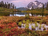 Góry, Stany Zjednoczone, Park Narodowy Północnych Gór Kaskadowych, Góra Shuksan, Drzewa, Jezioro Highwood Lake, Trawy, Stan Waszyngton