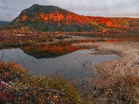 Kołyma, Drzewa, Rosja, Góry Kołymskie, Jezioro Jack London, Magadan