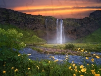 Skały, Żółte, Islandia, Niebo, Wodospad Seljalandsfoss, Rzeka Seljalandsa, Kwiaty