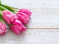 Tulipany, Kwiaty, Różowe, Deski