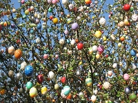 Gałęzie, Wielkanoc, Drzewo, Pisanki