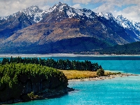 Drzewa, Lasy, Góra Cooka, Jezioro Pukaki, Nowa Zelandia, Alpy Południowe, Park Narodowy Góry Cooka, Góry, Wyspa Południowa