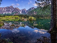 Drzewa, Jezioro Laghi di Fusine, Włochy, Alpy Julijskie, Góry, Prowincja Udine