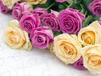Róże, Różowe, Żółte, Bukiet