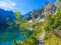 Tatry, Mięguszowickie Szczyty, Drzewa, Góry, Polska, Jezioro Morskie Oko, Dróżka