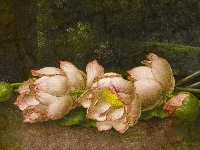 Martin Johnson Heade, Lotosy, Malarstwo, Obraz, Kwiaty