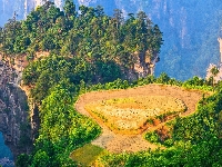 Rezerwat Wulingyuan, Drzewa, Chiny, Skały, Zhangjiajie National Forest Park, Hunan