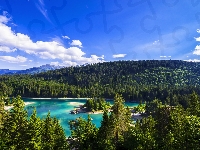 Lasy, Szwajcaria, Gmina Flims, Drzewa, Chmury, Jezioro Caumasee, Wzgórze, Gryzonia