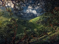 Góry, Dolina, Peru, Rzeka, Drzewa, Kordyliera Biała, Park Narodowy Huascaran