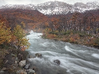 Góry Andy, Park Narodowy Los Glaciares, Argentyna, Drzewa, Rzeka Las Vueltas, Las, Patagonia