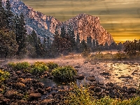 Mgła, Rzeka Merced, Kalifornia, Szczyt El Capitan, Stany Zjednoczone, Rośliny, Drzewa, Góry, Kamienie, Park Narodowy Yosemite