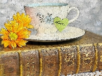 Kwiaty, Napis, Grafika, Serduszko, Książka, Filiżanka, Love