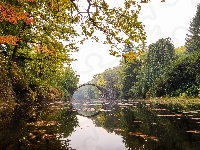 Jezioro Rakotz, Niemcy, Odbicie, Drzewa, Most łukowy, Park Rododendronów Kromlau, Kamienny, Saksonia