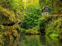 Drzewa, Rzeka Kamienica, Czechy, Dom, Roślinność, Skała, Park Narodowy Czeska Szwajcaria