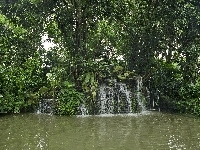 Wodospad, Park, Drzewa
